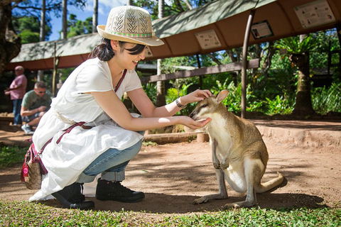 Kuranda Day Tour, TKS-RFS GRAND GOLD PLUS 0930 - Melbourne Tourism 3