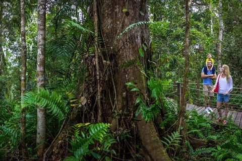 Kuranda Day Tour + HotAir Balloon Combo - Melbourne Tourism 3