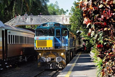 Kuranda Day Tour + HotAir Balloon Combo - Melbourne Tourism 4