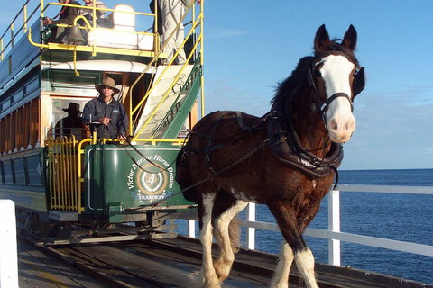 Full-Day Tour In South Australia Highlights - Melbourne Tourism 1