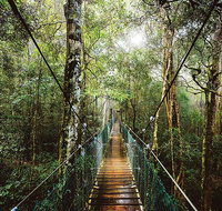 O'Reilly's  Lamington National Park from Gold Coast - Melbourne Tourism