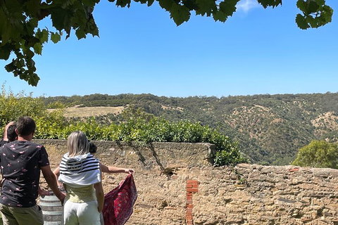 Private Mclaren Vale Wine Tour - Melbourne Tourism 2