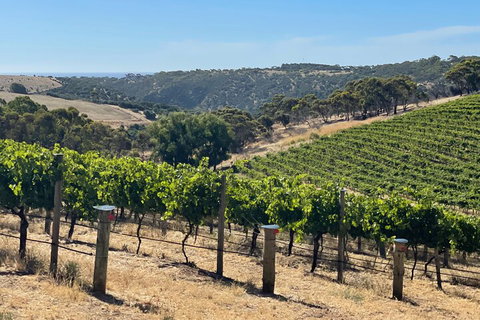 Private Mclaren Vale Wine Tour - Melbourne Tourism 3