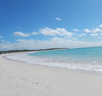 Shipwreck Special Nature Tour/Half Day Tour - Melbourne Tourism