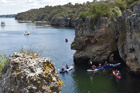 Cliffs And Caves Kayak Tour In Swan River - Melbourne Tourism 5