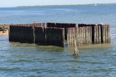 Best Of Moreton Bay Cruise - Melbourne Tourism 1