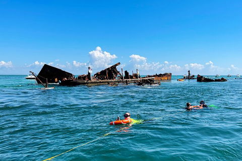 Best Of Moreton Bay Cruise - Melbourne Tourism 5