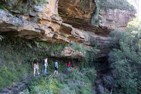 Blue Mountains Nature And Wildlife Day Tour From Sydney - Melbourne Tourism 2