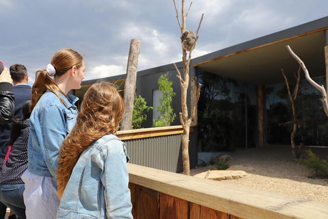 Blue Mountains Nature And Wildlife Day Tour From Sydney - Melbourne Tourism 3