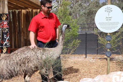 Blue Mountains Nature And Wildlife Day Tour From Sydney - Melbourne Tourism 5