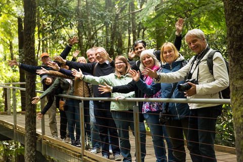 All Inclusive Blue Mountains Small-Group Day Trip From Sydney - Melbourne Tourism 5