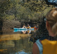 Kayak Tour in Adelaide Dolphin Sanctuary - Melbourne Tourism