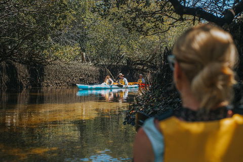 Kayak Tour In Adelaide Dolphin Sanctuary - Melbourne Tourism 0
