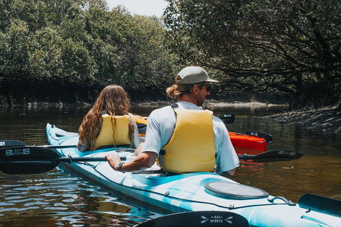 Kayak Tour In Adelaide Dolphin Sanctuary - Melbourne Tourism 2