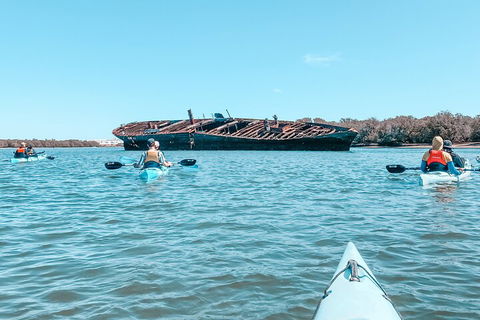 Kayak Tour In Adelaide Dolphin Sanctuary - Melbourne Tourism 3