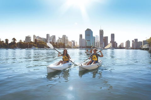 Brisbane Kayak Tour - Melbourne Tourism 0