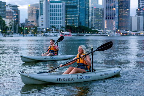 Brisbane Kayak Tour - Melbourne Tourism 3