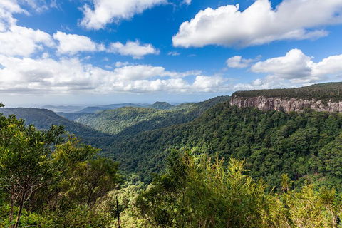 Natural Bridge & Springbrook Waterfalls Tour - Melbourne Tourism 1