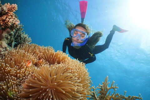 Quicksilver Outer Great Barrier Reef Snorkel Cruise From Port Douglas - Melbourne Tourism 2