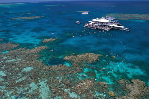 Quicksilver Outer Great Barrier Reef Snorkel Cruise From Port Douglas - Melbourne Tourism 3