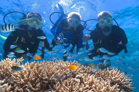 Quicksilver Outer Great Barrier Reef Snorkel Cruise From Port Douglas - Melbourne Tourism 4