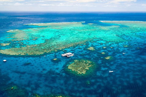 Quicksilver Outer Great Barrier Reef Snorkel Cruise From Port Douglas - Melbourne Tourism 5
