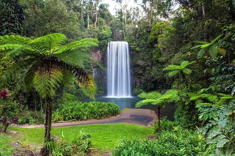 Cairns & Port Douglas All-Inclusive 7 Days Touring Package - Melbourne Tourism 2