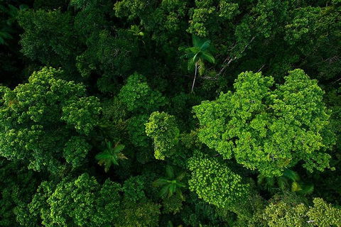 Cairns & Port Douglas All-Inclusive 7 Days Touring Package - Melbourne Tourism 4