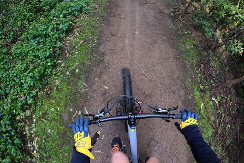 Explore Downhill Mountain In 3-Hour Bike Tour From Hobart - Melbourne Tourism 2