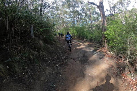 Explore Downhill Mountain In 3-Hour Bike Tour From Hobart - Melbourne Tourism 3