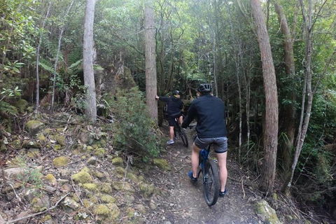 Explore Downhill Mountain In 3-Hour Bike Tour From Hobart - Melbourne Tourism 4