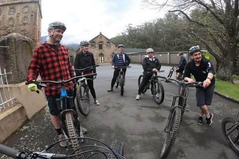 Explore Downhill Mountain In 3-Hour Bike Tour From Hobart - Melbourne Tourism 5