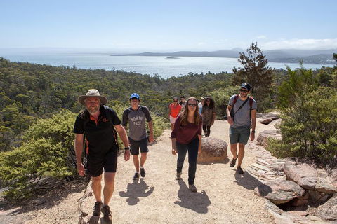3-Day Tasmania Combo: Launceston To Hobart Active Tour Including Cradle Mountain, Freycinet National Park And Port Arthur - Melbourne Tourism 5