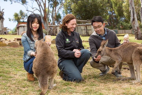 Bonorong Wildlife Park And Richmond Afternoon Tour From Hobart - Melbourne Tourism 1