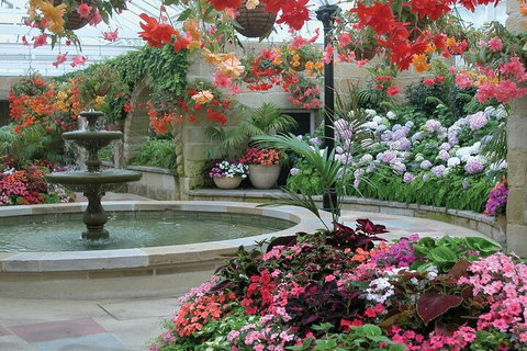 Hobart Half-Day Sightseeing Coach Tram Tour - Melbourne Tourism 3