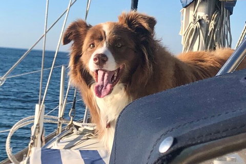 Mornington Peninsula Sightseeing Tour For 2-6 Guests. - Melbourne Tourism 2