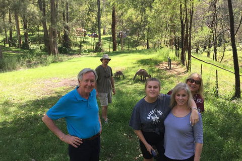 Small Group Blue Mountains Day Tour From Sydney - Melbourne Tourism 1