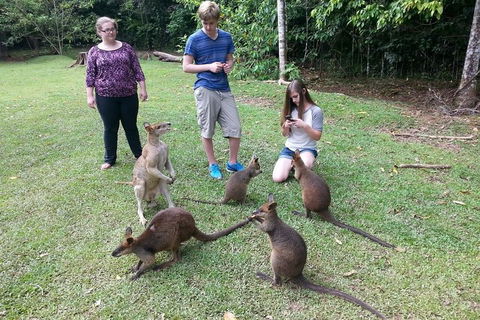 Small Group Blue Mountains Day Tour From Sydney - Melbourne Tourism 2