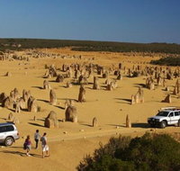 1-Day Pinnacles and Yanchep Tour from Perth including Fish and Chips Lunch - Melbourne Tourism