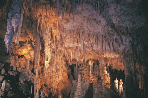 4 Day Tour: Albany, Margaret River, Valley Of The Giants TreeTop Walk From Perth - Melbourne Tourism 1