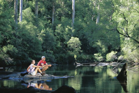 4 Day Tour: Albany, Margaret River, Valley Of The Giants TreeTop Walk From Perth - Melbourne Tourism 3