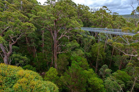 4 Day Tour: Albany, Margaret River, Valley Of The Giants TreeTop Walk From Perth - Melbourne Tourism 4