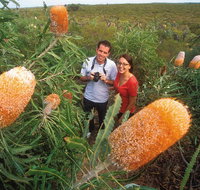 Best of Perth Wildflower Season Day Trip - Melbourne Tourism
