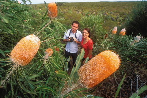 Best Of Perth Wildflower Season Day Trip - Melbourne Tourism 0