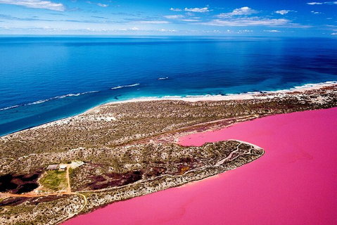 Pink Lake Small-Group Buggy Tour - Melbourne Tourism 0