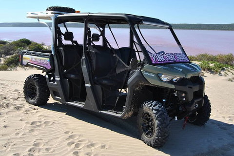 Pink Lake Small-Group Buggy Tour - Melbourne Tourism 1