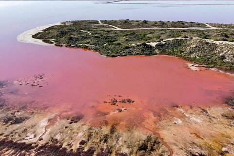Pink Lake Small-Group Buggy Tour - Melbourne Tourism 2