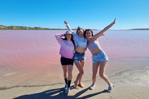 Pink Lake Small-Group Buggy Tour - Melbourne Tourism 3