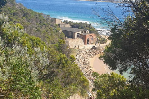 Fort Nepean And Quarantine Station Tour - Melbourne Tourism 4