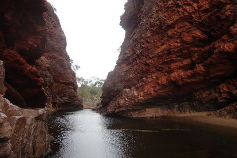 West MacDonnell Ranges Half - Day Tour - Melbourne Tourism 4